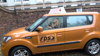 Fake Driving School rá spriccelek a méretes csoki faszodra