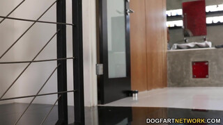 Bunny Colby felizgult a méretes dákóra